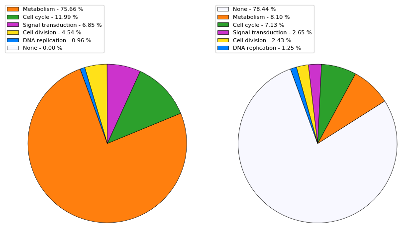 Pie chart of GO term distribution in the genome.